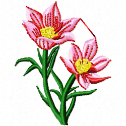 Flowers Embroidery Design 10